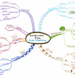 Carte Mentale Créative : Apprends à Organiser Tes Idées Autrement !