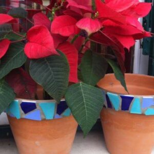 Mosaïque - L’art du carreau cassé - Cycle de 2 ateliers // jeudi, 09 octobre 2025, 09:30