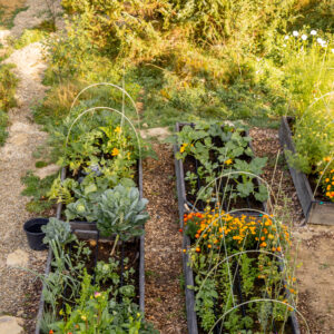 Jardin bio en permaculture // samedi, 21 mars 2026, 15:00