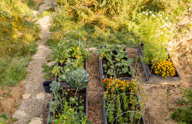 Jardin bio en permaculture
