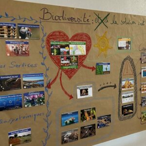 La Fresque de la Biodiversité // samedi, 11 octobre 2025, 15:00