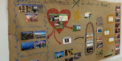 La Fresque de la Biodiversité // samedi, 11 octobre 2025, 15:00