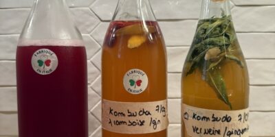 Booste ton énergie - Cultiver le vivant – L’art du Kombucha // dimanche, 14 juin 2026, 15:00